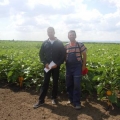 Kolege iz Instituta za ratarstvo i povrtarstvo Siniša Jocić i Ilija Radeka